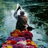 Dal Lake, Srinagar, Kashmir, 1996 Steve McCurry