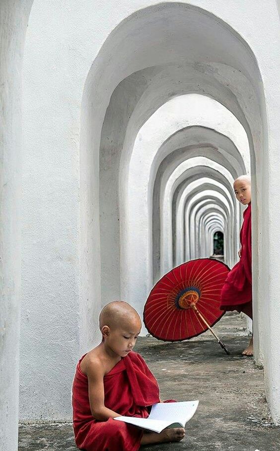 The Young Monk